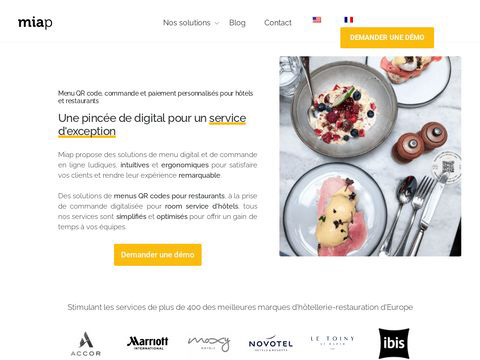 Capture du site Miap